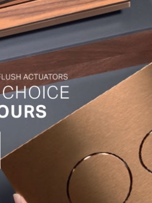 The Choice is Yours: Geberit Flush Actuators