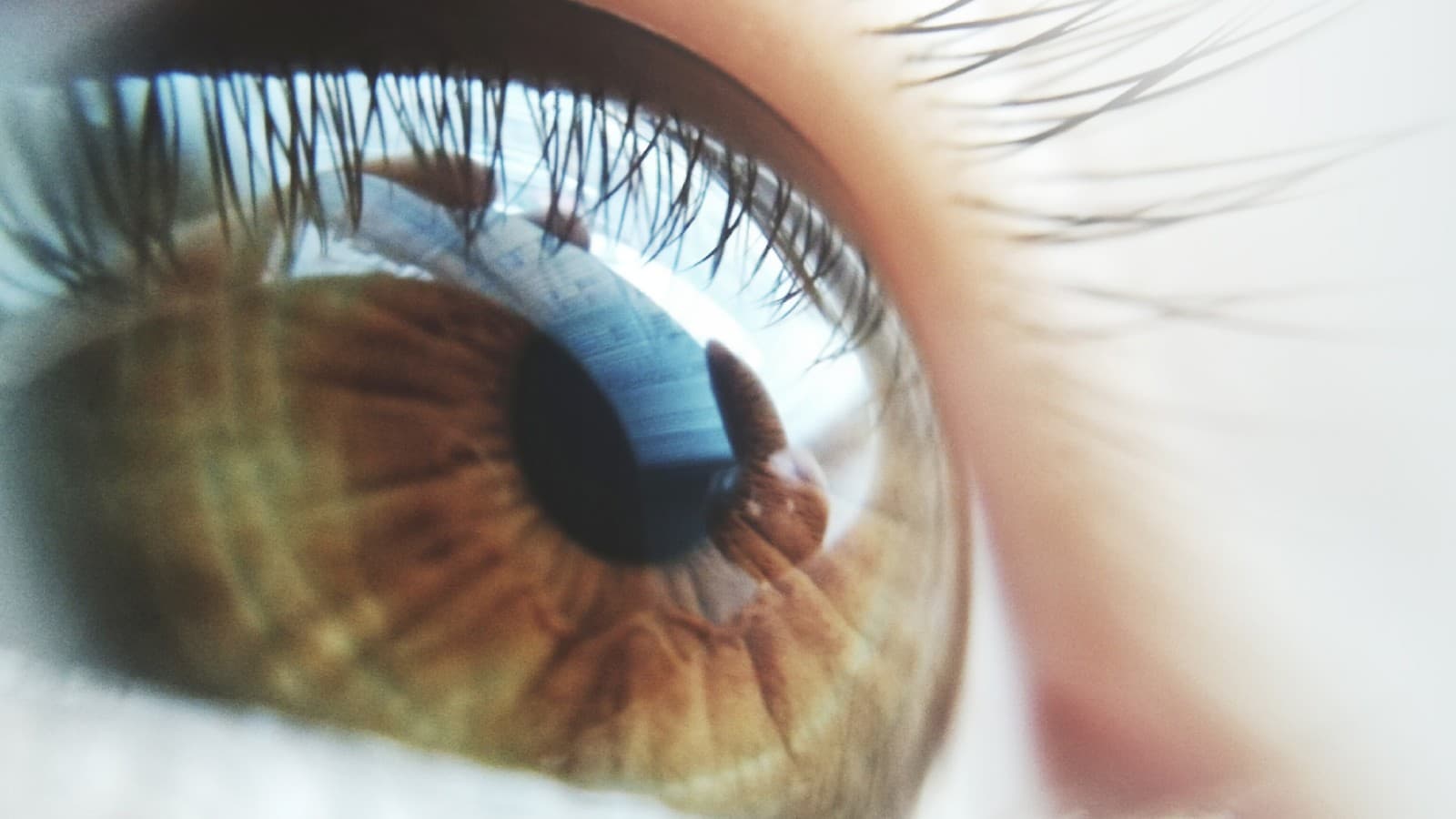 Brown eye looks into the distance Brown eye looks into the distance